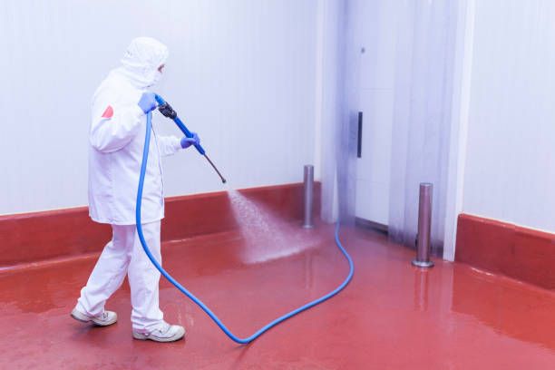 Best Rust Removal  in Woodstock, VA