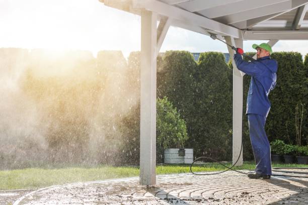 Best Soft Washing  in Woodstock, VA