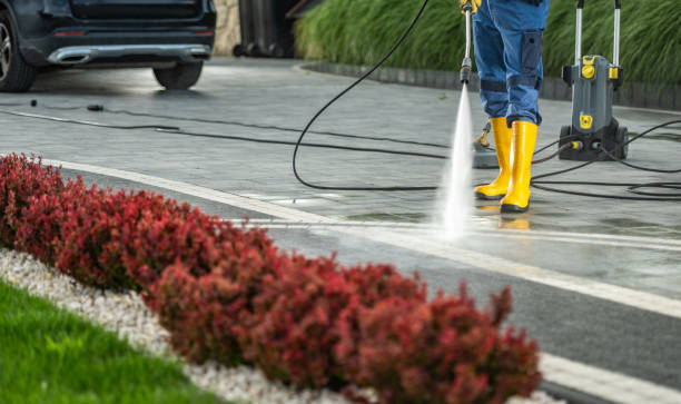 Best Sidewalk and Walkway Cleaning  in Woodstock, VA